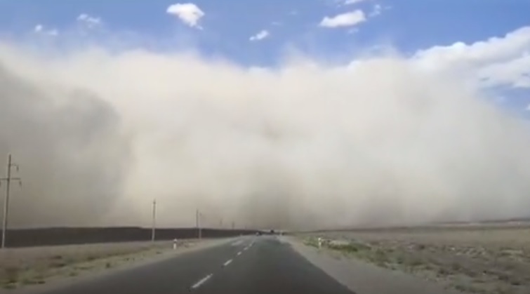  ���� ����� ���� ����� 