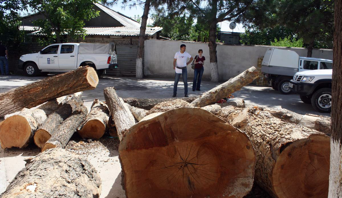  ���� ���������� ������� 