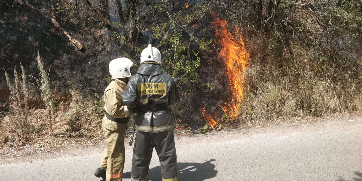  ���� ���-���� ����-��� ���������� ����� 