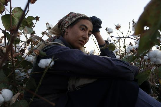 Жить, несмотря на все невзгоды