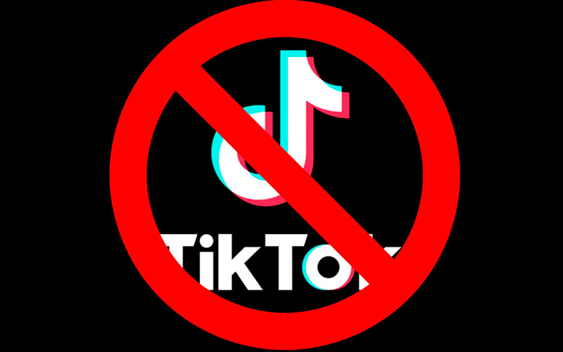 Минцифры Кыргызстана распорядилось ограничить доступ к TikTok
