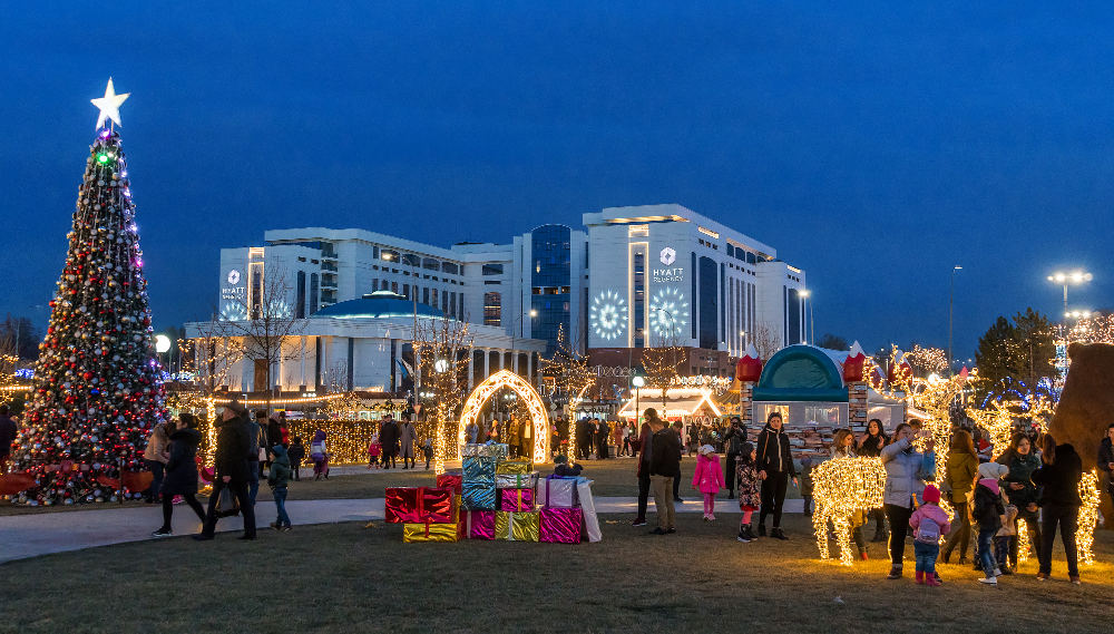 Новогодние елки Ташкента