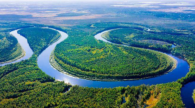 Вот — новый поворот