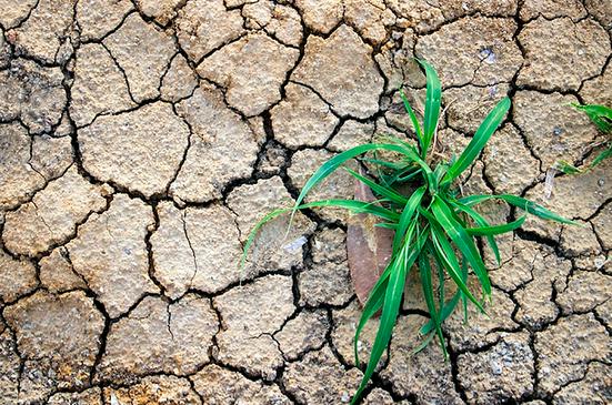 Стена у каждого своя